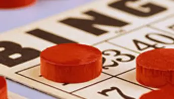 The Popularity Of Online Bingo
