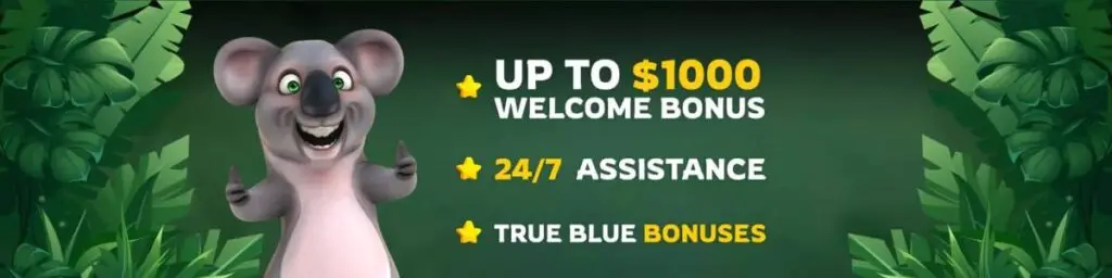 Fair Go Bonus Screenshot