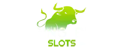 $250 no deposit bonus for new players by Raging Bull Casino