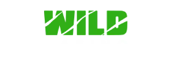 Wild Casino