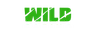Wild Casino