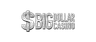 Big Dollar Casino