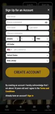 Big Dollar Casino registration screenshot