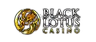 Black Lotus Casino