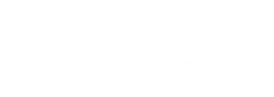 Bonanza Game