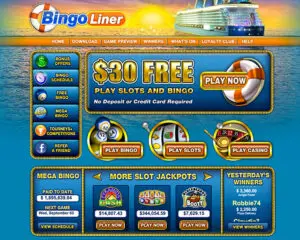 Bingo Liner