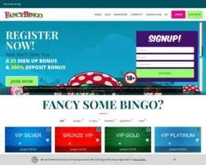 Fancy Bingo