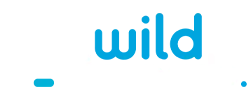 €1000/0.05400 BTC + 100 FREE SPINS at Wild Tornado