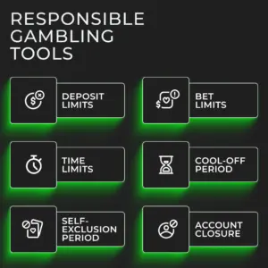Responsible Gambling 1