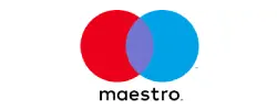 Maestro payment method Logo