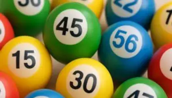 Fruity King Launches Playtech-Powered Bingo Games