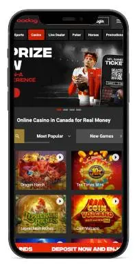 Bodog Casino mobile screenshot