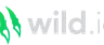 Wild.io Casino